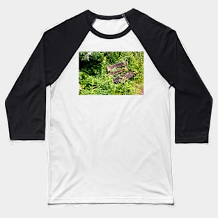 Overgrown Garden Bench Baseball T-Shirt